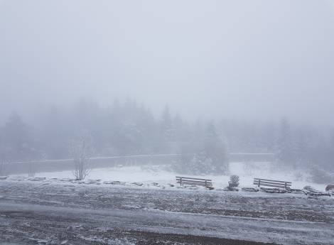 Die ersten Schneeflocken Symbolfoto