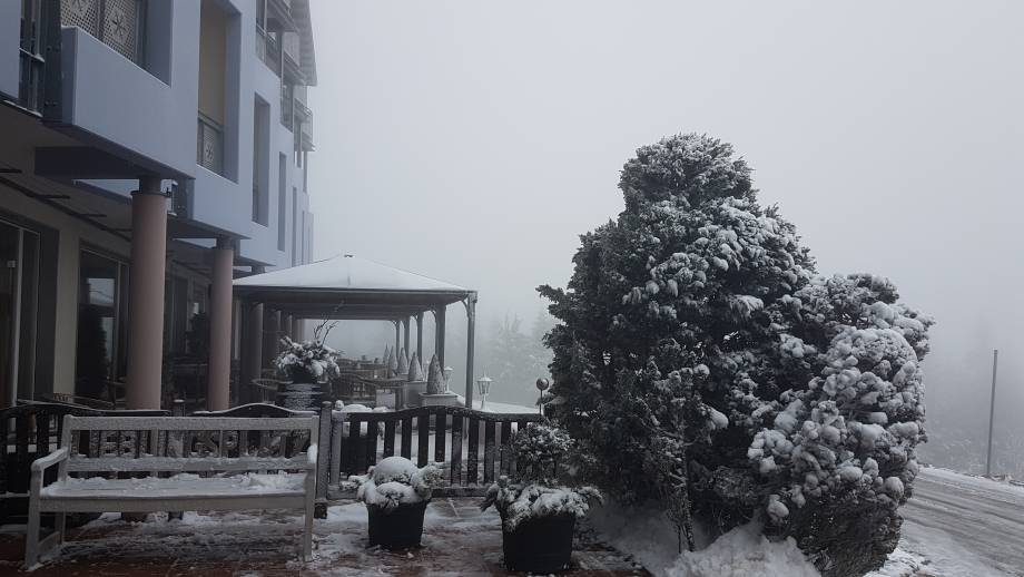 Die ersten Schneeflocken Symbolfoto